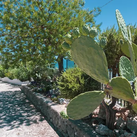 La Scapola Bed & Breakfast