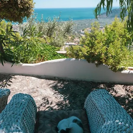 La Scapola Mattinata