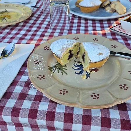 La Scapola Mattinata