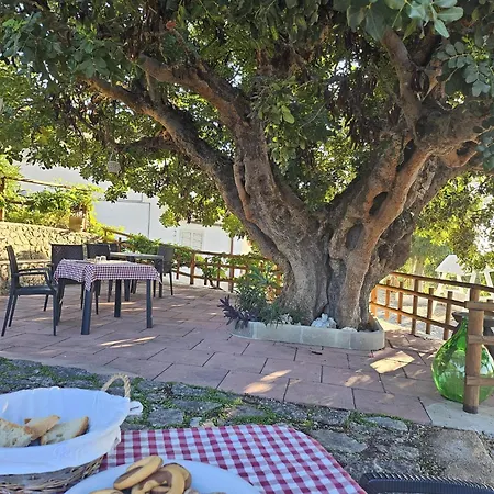 La Scapola Bed & Breakfast Mattinata