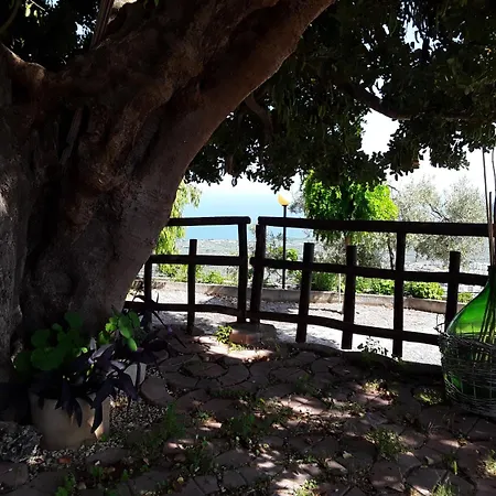 Bed & Breakfast La Scapola 4*