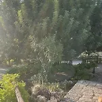 La Scapola Mattinata