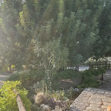 La Scapola Mattinata