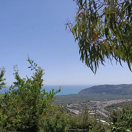 La Scapola Mattinata