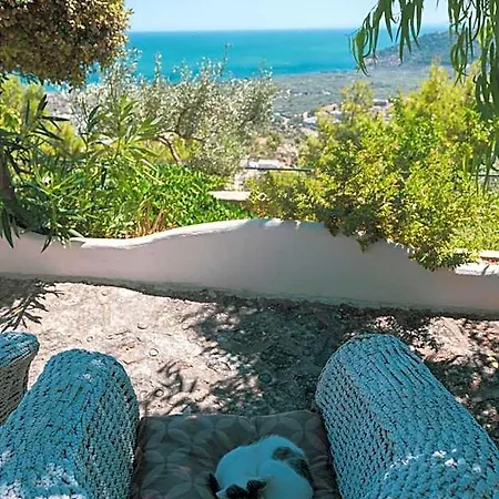 Bed and Breakfast La Scapola 4*
