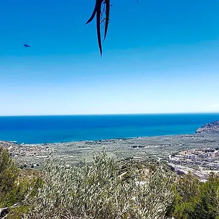 La Scapola Mattinata