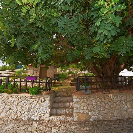 La Scapola Mattinata