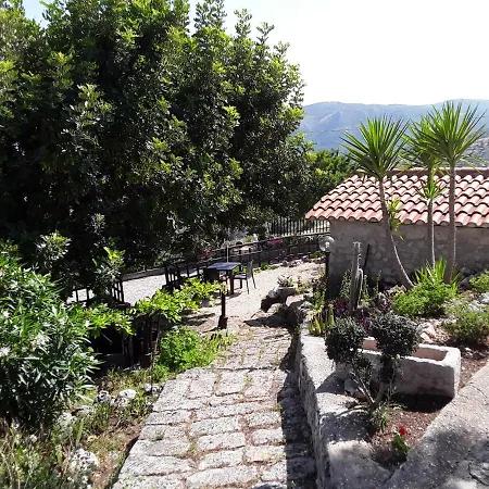 La Scapola Bed & Breakfast Mattinata