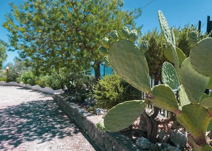 La Scapola לינה וארוחת בוקר