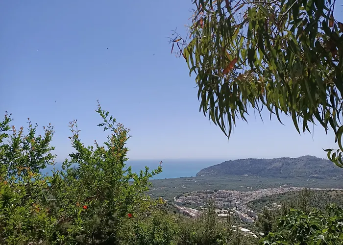 La Scapola מאטינאטה